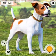 Game Icon